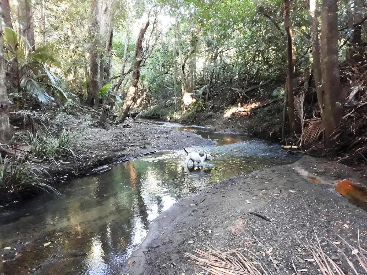 Tranquil Rainforest Homestay By River, Free Wifi Mooloolah 0*,